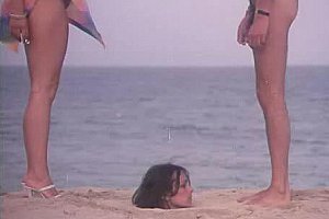 free色诱对白hdpom